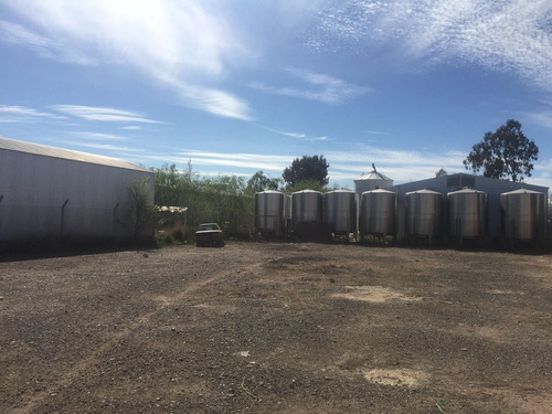Imagen 5 de 5 de Lote De 1000 M2 En Parque Industrial Cipolletti