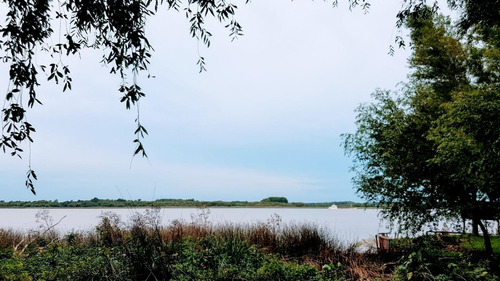 Imagen 16 de 30 de Lote Venta 2da Sección Delta Islas Sobre Paraná De L. Palma