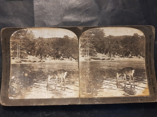Imagen 7 de 7 de Antiguas Fotografías Japon Estereoscópicas 1900. 51614.