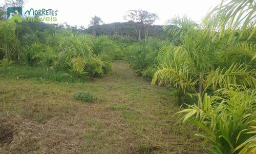 Imagem 15 de 27 de Chacara-para-venda-em-itaperucu-morretes-pr - 127