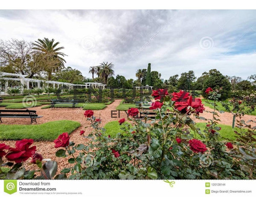 Imagen 24 de 30 de 4 Ambientes Bcon Tza Parrilla Y Tza Solarium (opc. Cochera) - Bajo Belgrano