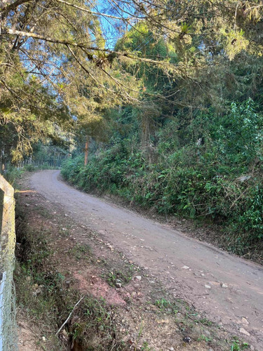 Chacara /sitio Com Lago Particular