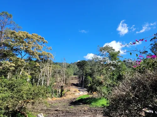 Lote En Venta, V. Llanogrande, Rionegro