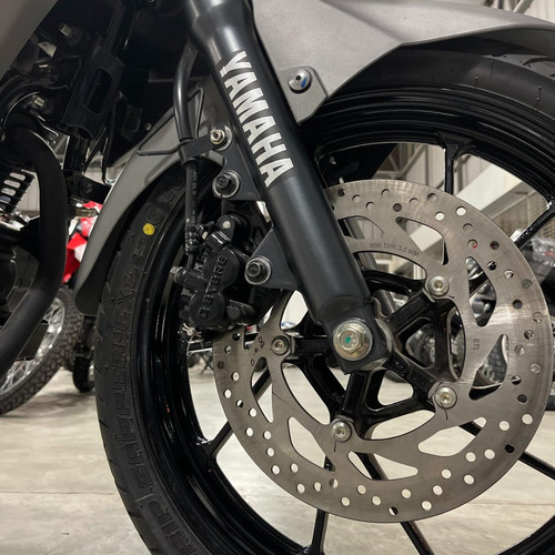 Imagen 15 de 25 de Yamaha Fz 25 0km | All Motors Santa Fe