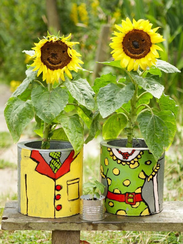 30 Semillas De Girasol Enano Para Macetas Y Jardin - Flor | MercadoLibre