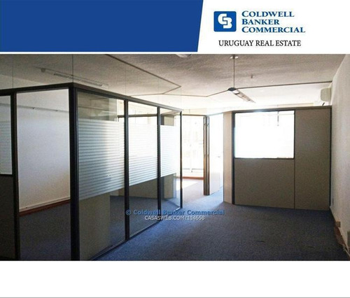 Alquiler De Oficina - Plaza Independencia - Ciudad Vieja