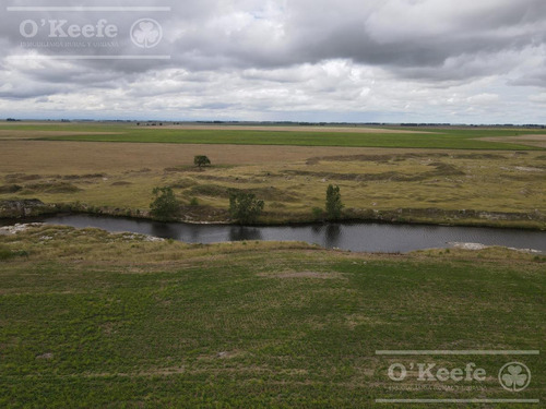 Imagen 8 de 15 de Campo Mixto 330 Has A 80km Del Puerto De Necochea- San Cayetano