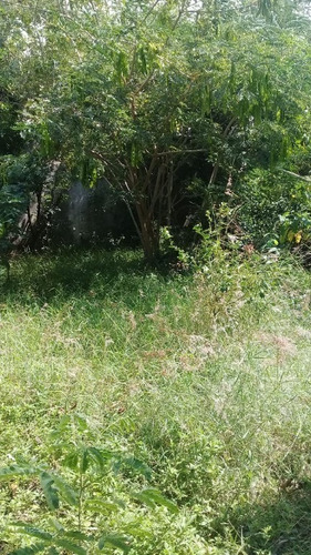 Imagen 16 de 25 de Casa En Venta