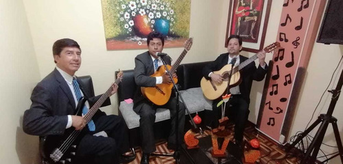 Imagen 4 de 10 de Tríos, Dúos, Cantante Violinista, Misas, Bodas, Serenatas,