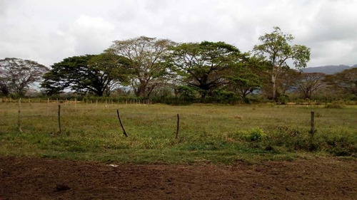 Imagen 8 de 15 de Finca En La Alegría En Yaracal Cerca De Tucacas