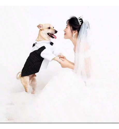 Smoking Traje Ropa Para Perros Mascotas - Los Michis Locos Xxl