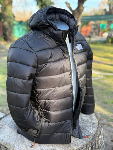 Campera Térmica Liviana Tnf