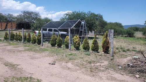 Remato Hermosa Huerta En Venta En Queretaro