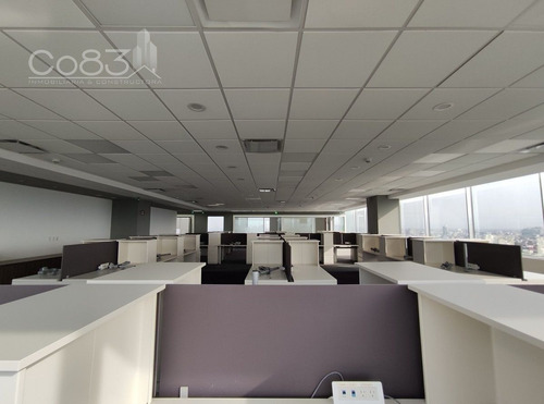 Imagen 4 de 15 de Renta - Oficina Amueblada - Insurgentes Sur - 400 M2 - Piso