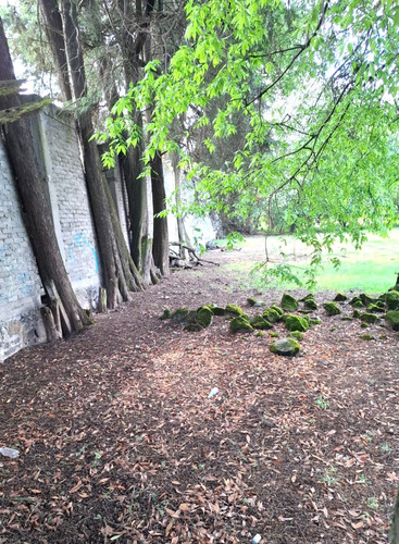 Amplio Terreno En Venta De 1,000 M2, Con Escrituras, En San Miguel Ajusco, Tlalpan