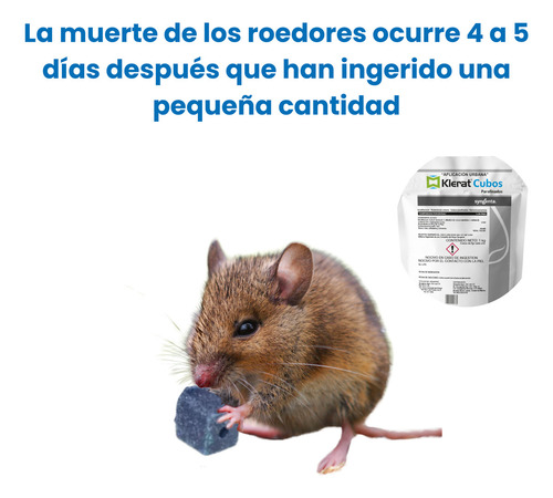 Insecticida Para Ratas Que Las Seca Cebo Para Ratas 1kg