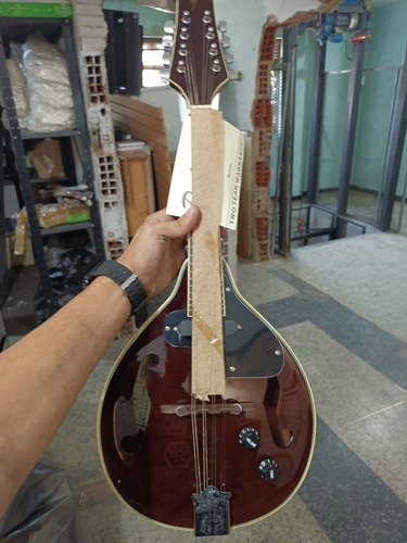 Mandolinas Electroacústicas