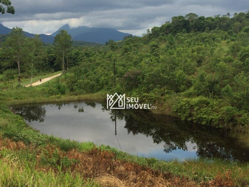 Imagem 13 de 19 de Fazenda Com 3 Dormitórios À Venda, 2420000 M² Por R$ 3.300.000,00 - Rio Verde - Cananéia/sp - Fa0001