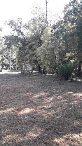 Imagem 13 de 13 de Chácara - Borda Do Campo