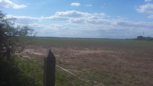 Imagen 7 de 7 de Venta Campo En Rio Hondo, Retasado, Santiago Del Estero.