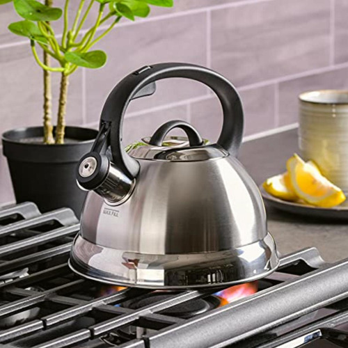 Mr. Coffee 91407.02 Flintshire Tetera Silbante De Acero