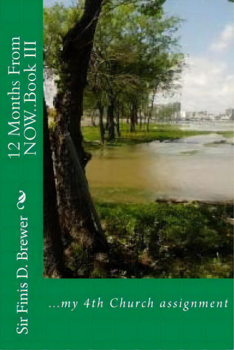 12 Months From Now..book Iii, De Sir Finis Demilo Brewer. Editorial Toosweetpublishing Productions, Tapa Blanda En Inglés