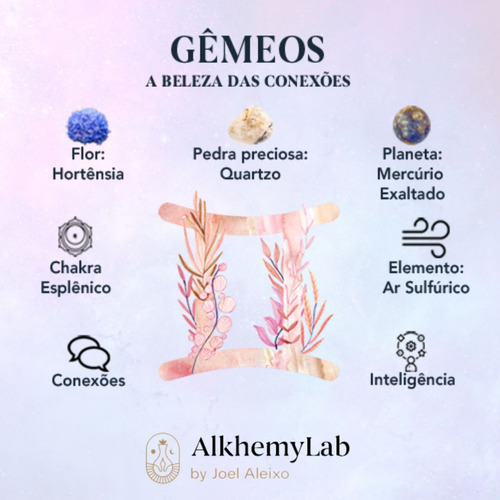 Floral Signo Gêmeos Fórmula De Ativação Conexão E Intelecto AlkhemyLab