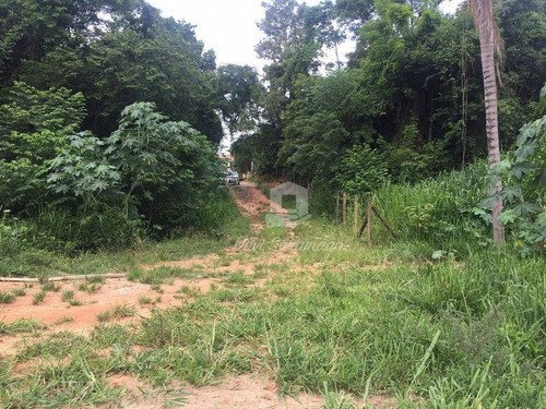 Imagem 20 de 22 de Terreno Amplo Para Desenvolvimento Imobiliário. - Te0019