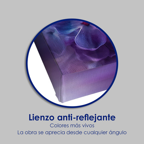 Canvas Cuadro Decorativo Moderno Sala Recamara | 120x120 C31