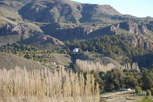 Imagen 8 de 11 de Venta Terreno 5000 M2 - San Martin De Los Andes