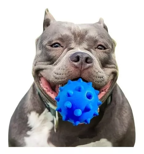 Segunda imagem para pesquisa de brinquedos para pitbull