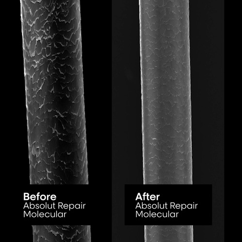 Shampoo Loreal Profissional Absolut Repair Molecular 1,5l