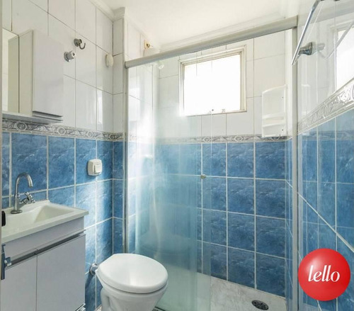 Imagem 7 de 27 de Apartamento - Ref: 229509