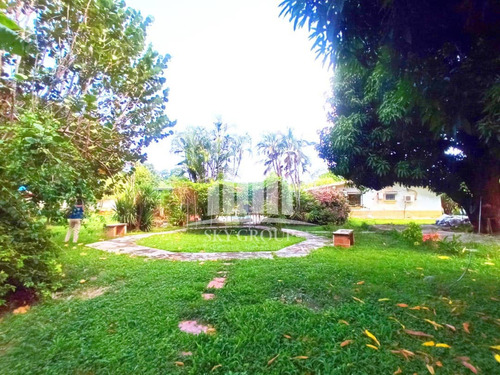 Imagen 17 de 22 de Super Negociable! Hermosa Finca En Guacara. Negociable!. Ahitza Castillo