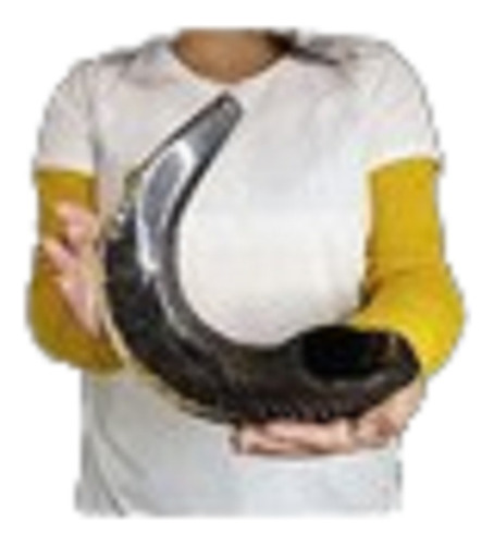 Shofar Ceremonial De-carnero-  45.9cm- Kosher (#345)