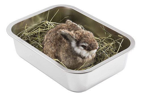 Caja De Arena De Limpieza Diseñada Por 4 Dueños De Gatos: Ac