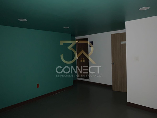 Oficina En Renta En Polanco 4c/3b/2e - Bodega - 260m2