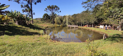 Imagem 22 de 30 de Venda Sítio/fazenda No Bairro São Salvador - R142925