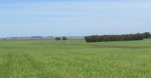 Estancia Ganadero - Agrícola Ref. 1454