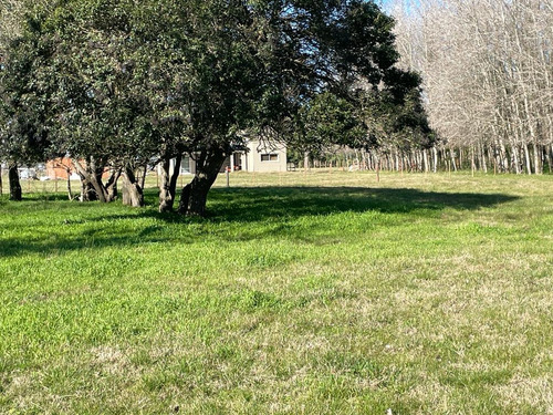 Lotes En Paraje Don Cipriano