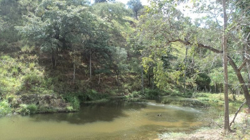 Linda Fazenda, Localizada Em Baldim Com 60,92 Hectares - 933