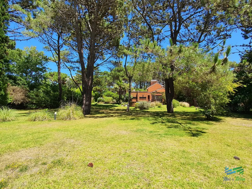 Vendo Casa 4 Dormitorios, Terreno 3.000 M2, Piscina, En Brava, Punta Del Este