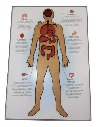 Jogo de Tabuleiro com Perguntas e Respostas do Corpo Humano com