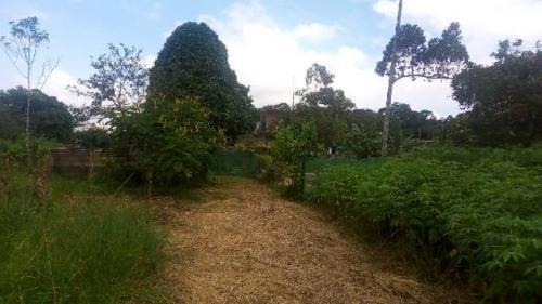 Chácara Na Praia Com 5 Dorm 1 Suíte E 15000m² 7882