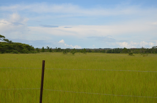 Imagen 10 de 28 de Se Vende Linda Finca En Oritupano