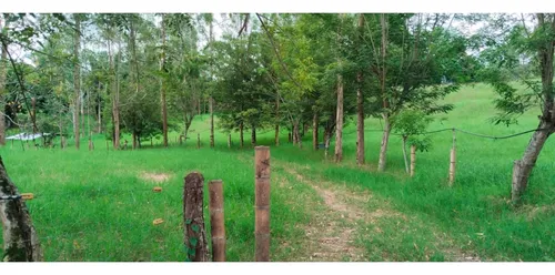 Venta Finca La Tebaida Cultivada En Pasto - 40 Cuadras