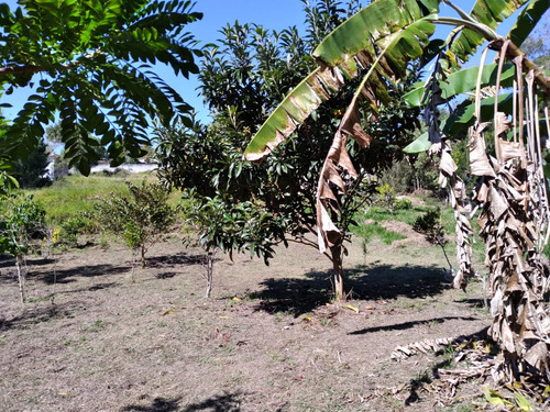 Terreno No Portal Das Aguas Pronto Para Construir .