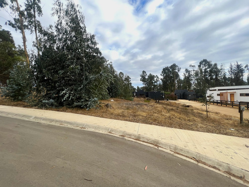 Imagen 10 de 22 de Sitio En Condominio De Categoría En Venta En Puchuncaví