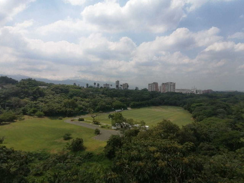 Imagen 7 de 14 de Apartamento Nuevo En Venta, Ciudad Jardín,