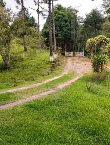 Imagem 2 de 15 de Cod 5997 - Sítio Com 20 Alqueires Em Miracatu-sp - 5997